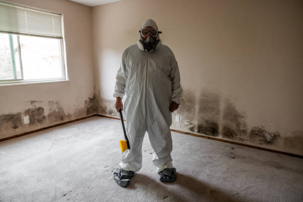 Best Mold Damage Repair  in Ocala Estates, FL